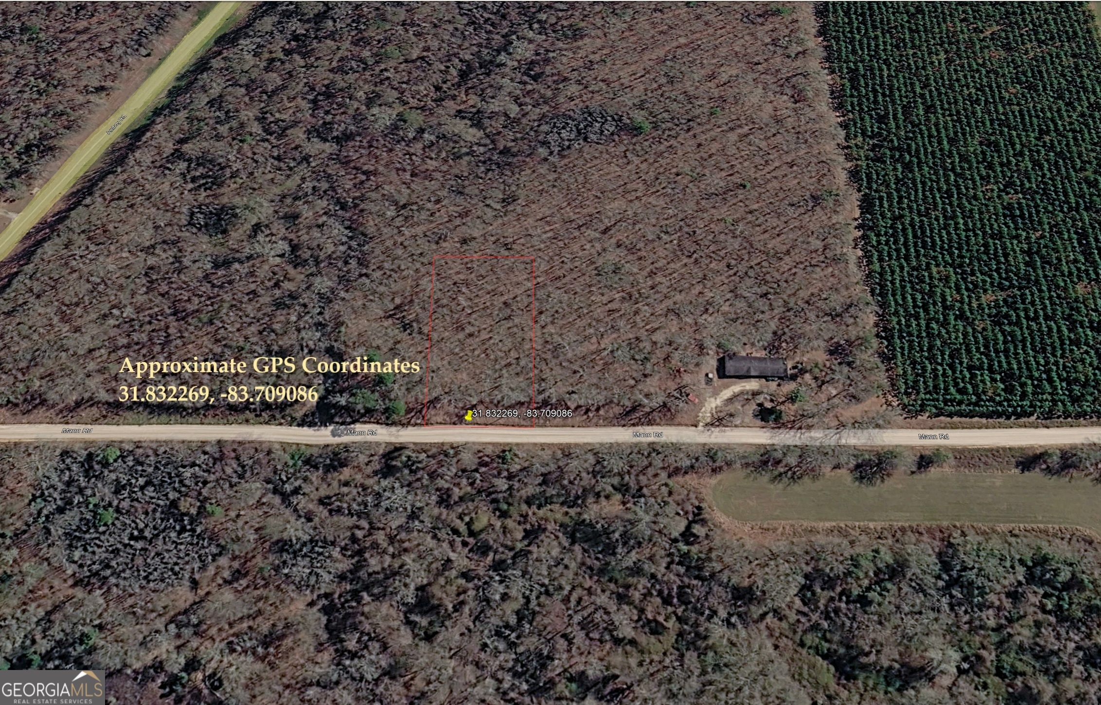 0 Mann Road Arabi, GA 31712 - Photo 9 of 11