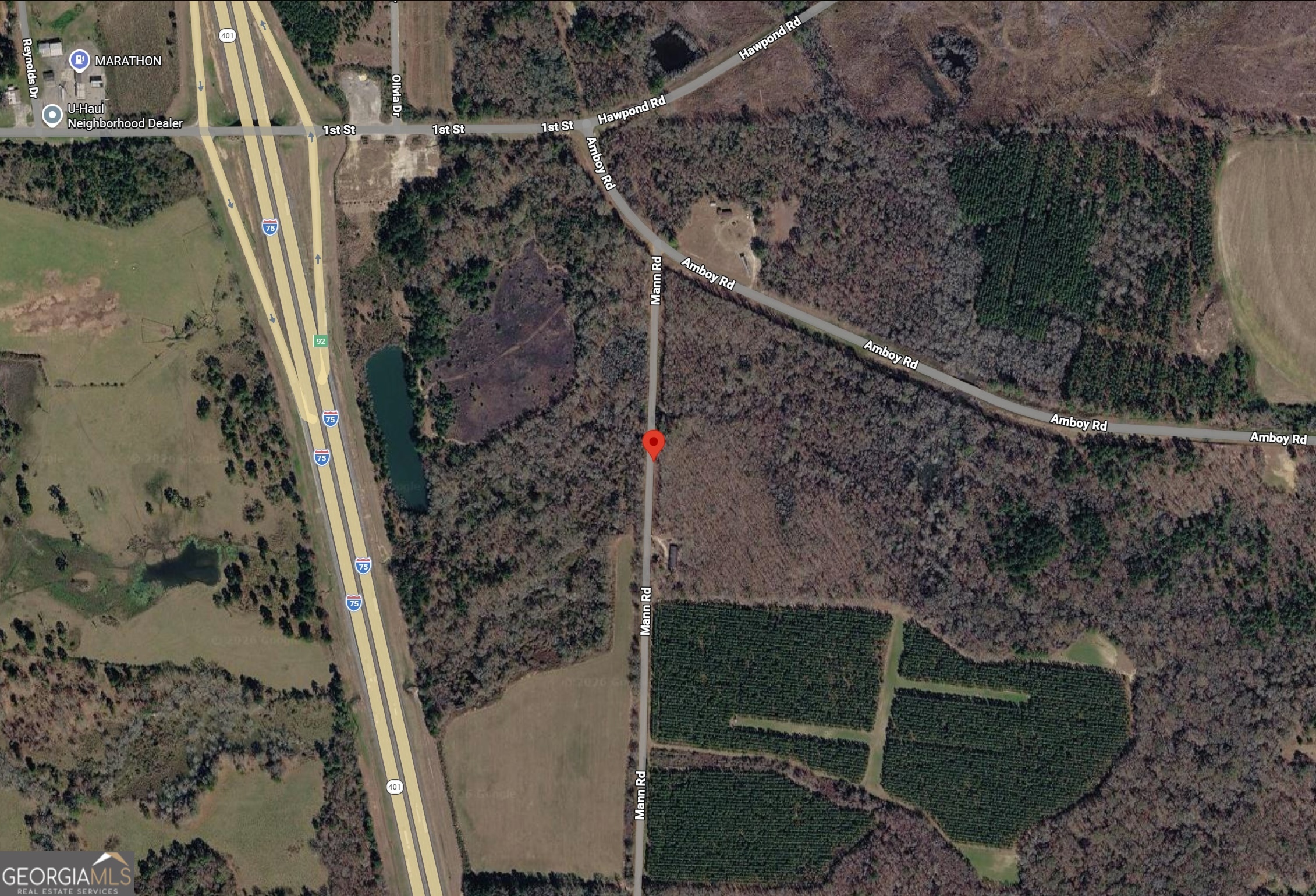 0 Mann Road Arabi, GA 31712 - Photo 10 of 11