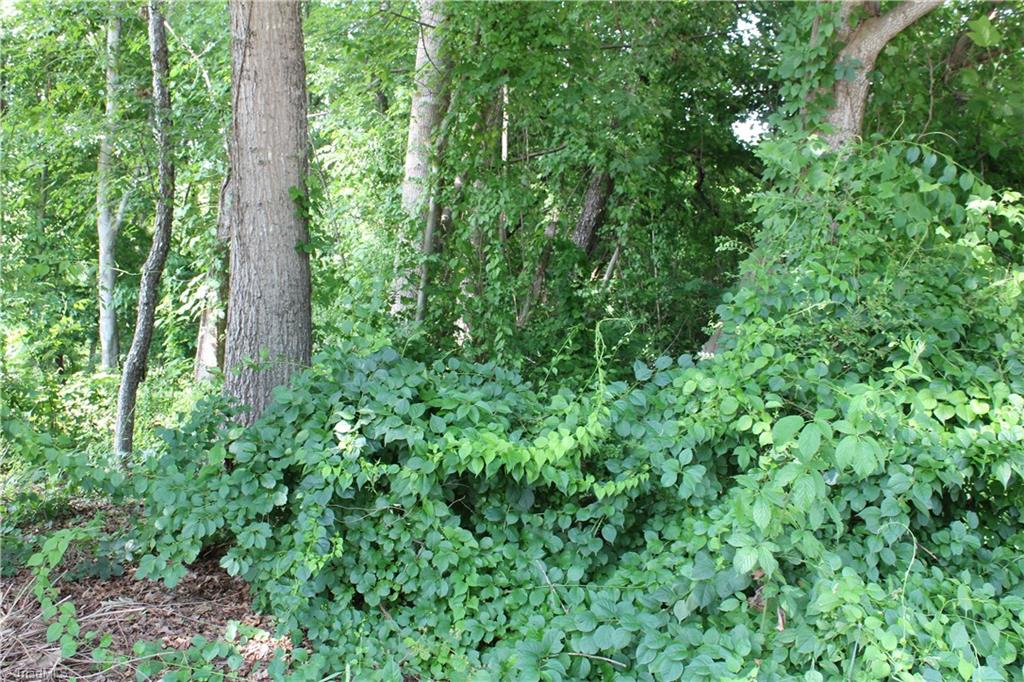 0 Reeves Lane Elkin, NC 28621 - Photo 1 of 2 Gallery Image 1