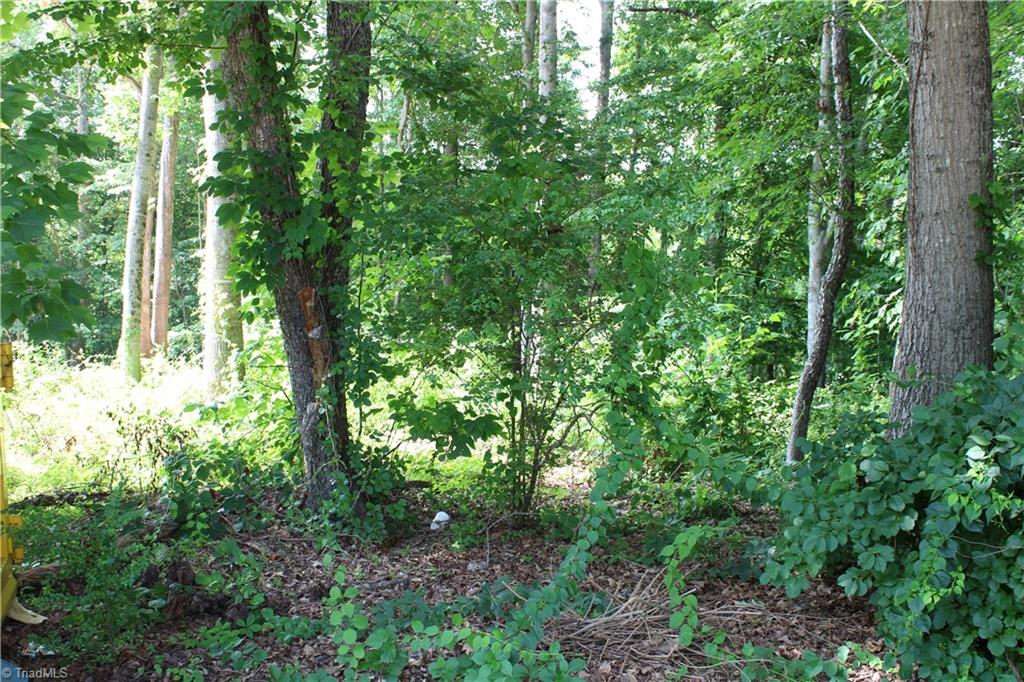 0 Reeves Lane Elkin, NC 28621 - Photo 2 of 2 Gallery Image 2