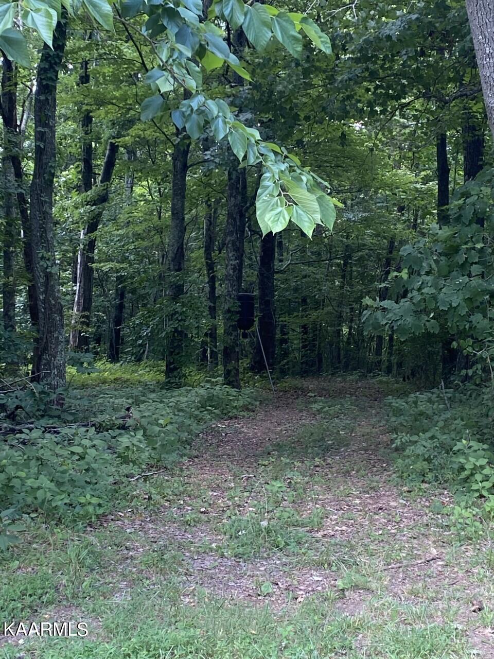 8212 Barker Road Corryton, TN 37721 - Photo 17 of 18 Possible driveway option