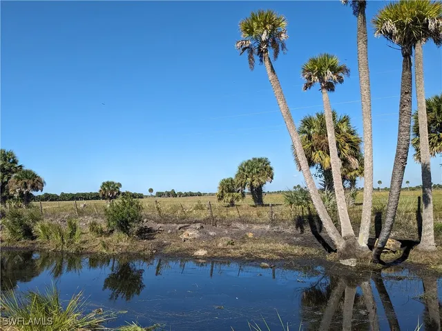 a view of a vase with flowers on a table