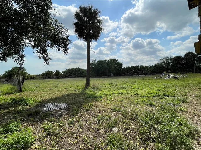 a view of a lake with a yard