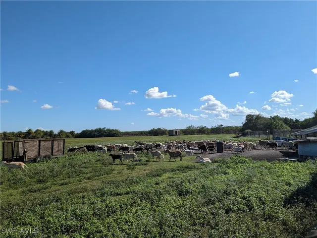 a view of a big yard