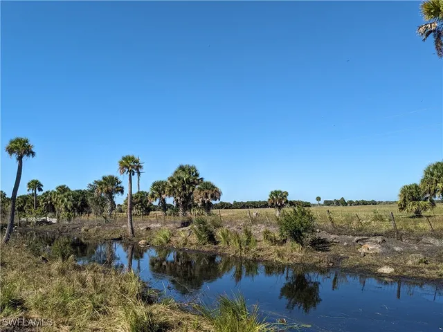 a view of outdoor space and yard