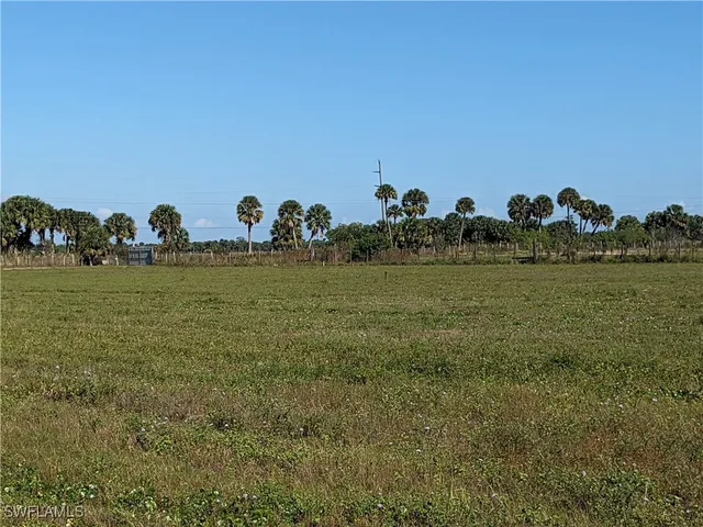 a view of a field with a tree in the background