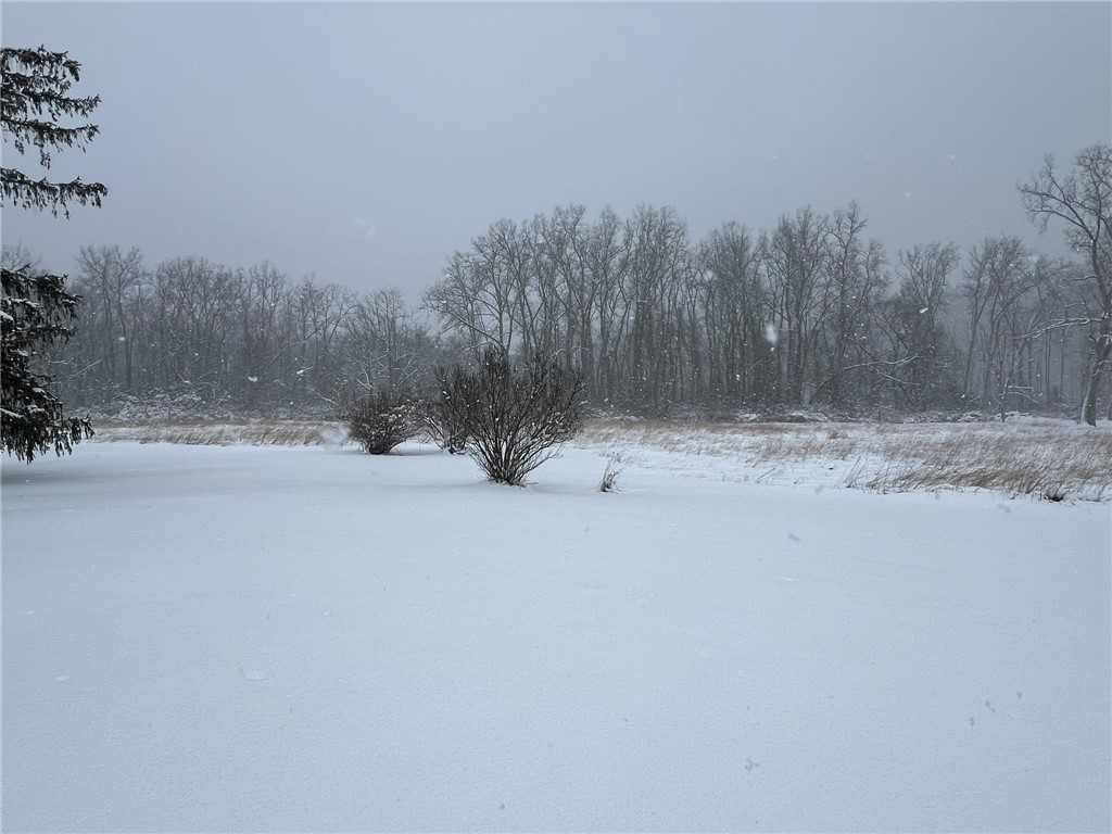 10511 County Road Canaseraga, NY 14822 - Photo 37 of 43