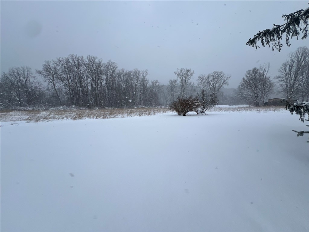 10511 County Road Canaseraga, NY 14822 - Photo 39 of 43