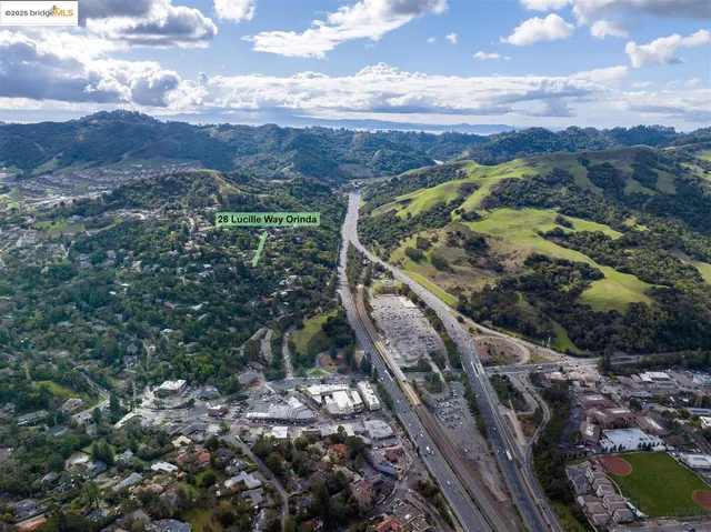 a big yard with lots of green space and deers