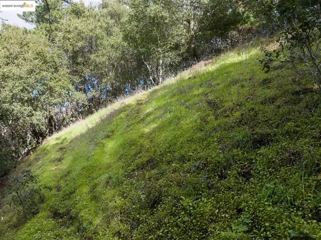 a backyard of a house with lots of green space