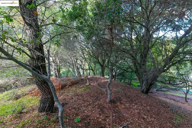a backyard of a house with lots of green space