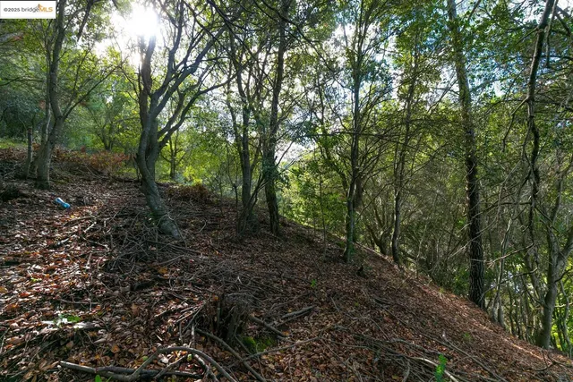 a view of a city and mountains