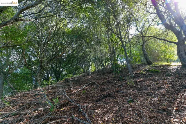 a big yard with lots of green space and deers