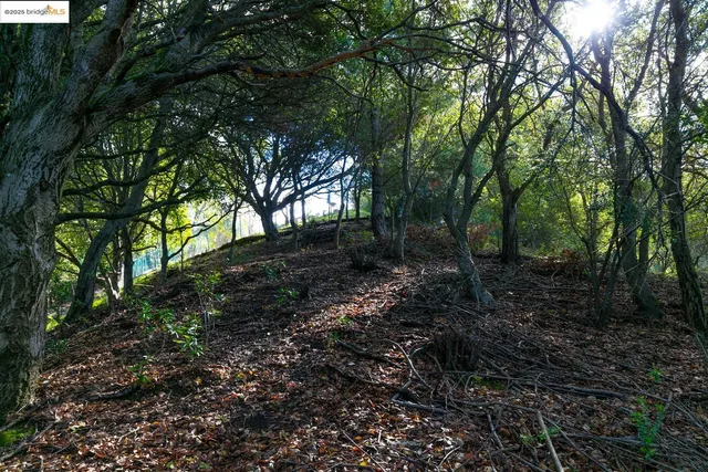 a view of a city with lush green forest