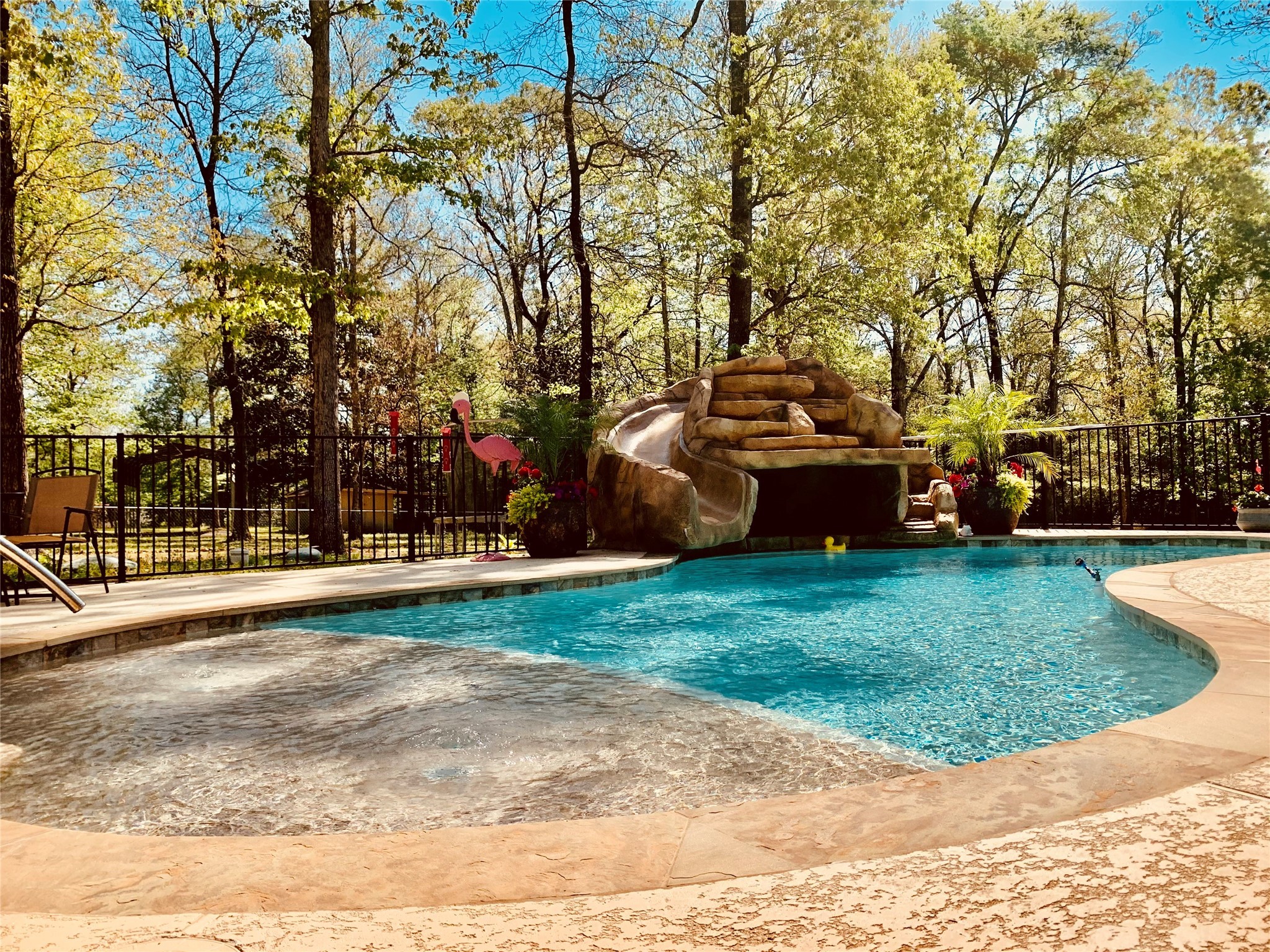 a view of a park with large trees