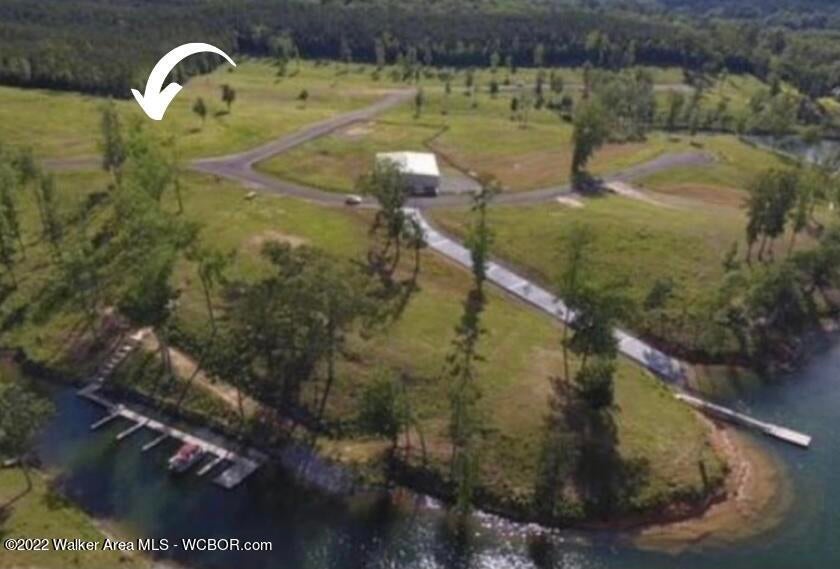 54 Sipsey Road Jasper, AL 35504 - Photo 1 of 1 Gallery Image 1