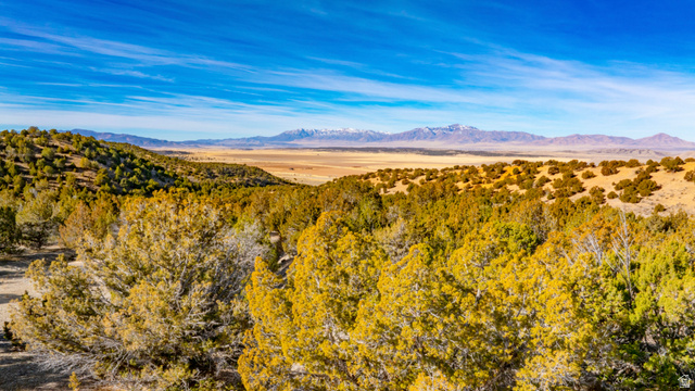 0 County Road 28 Levan, UT 84639 - Photo 89 of 207