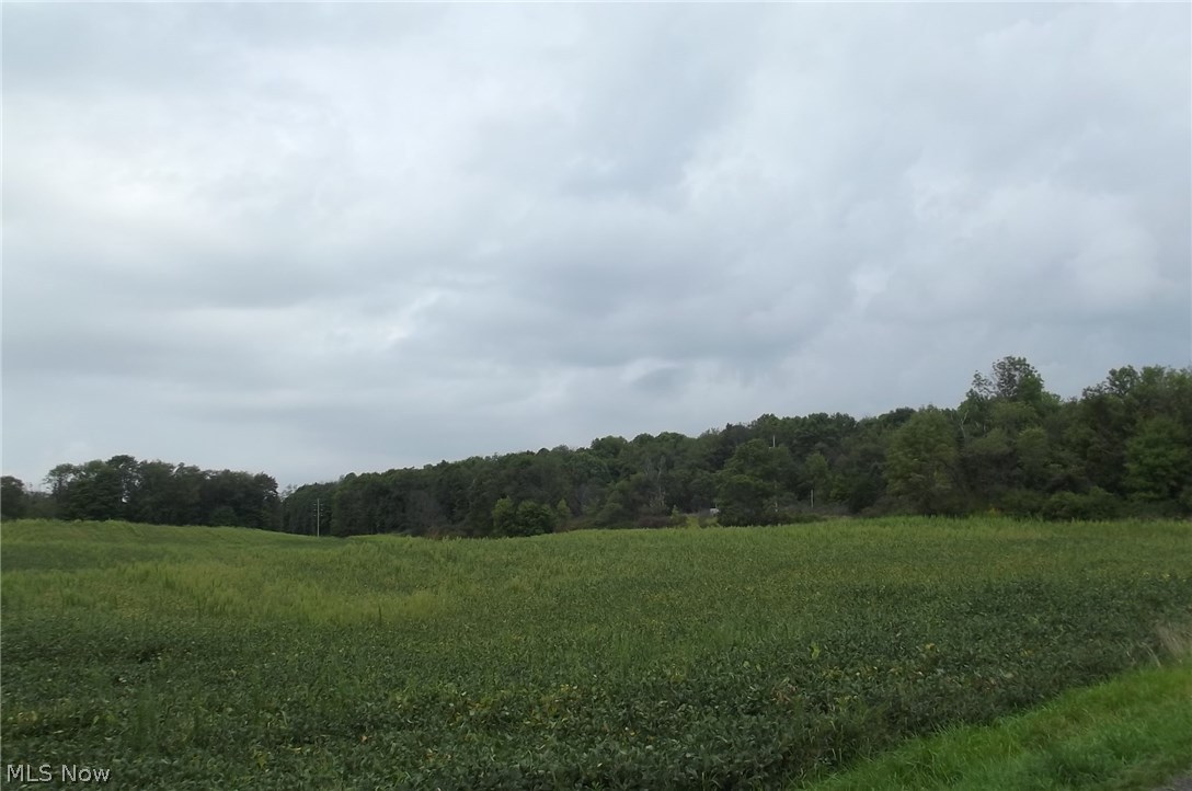 Homeworth Road Homeworth, OH 44634 - Photo 16 of 16