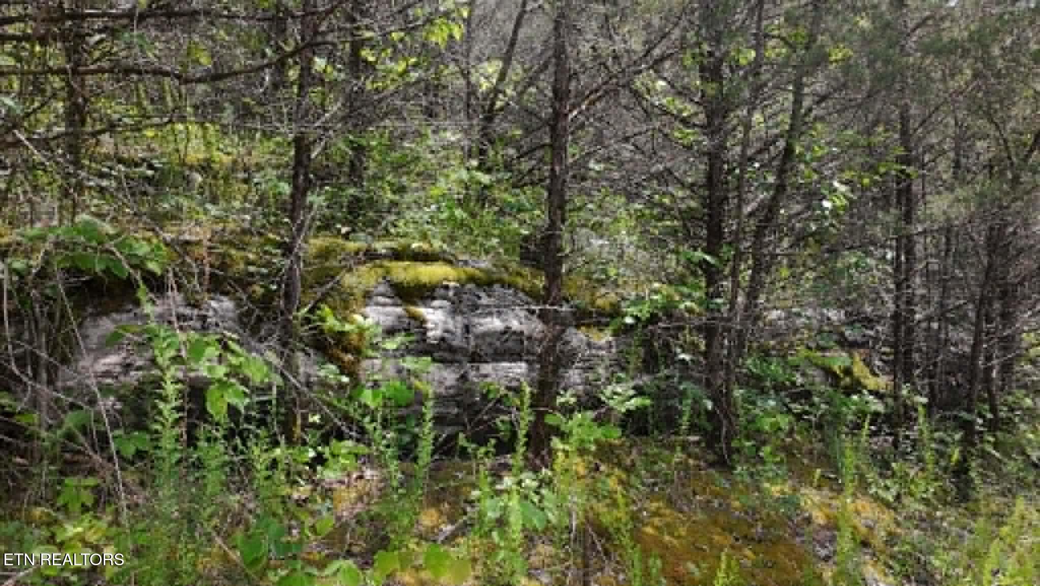 0 Mulberry Gap Road Tazewell, TN 37879 - Photo 5 of 5 7381a339-7a2b-4ef2-ba03-66737eaf1cc5