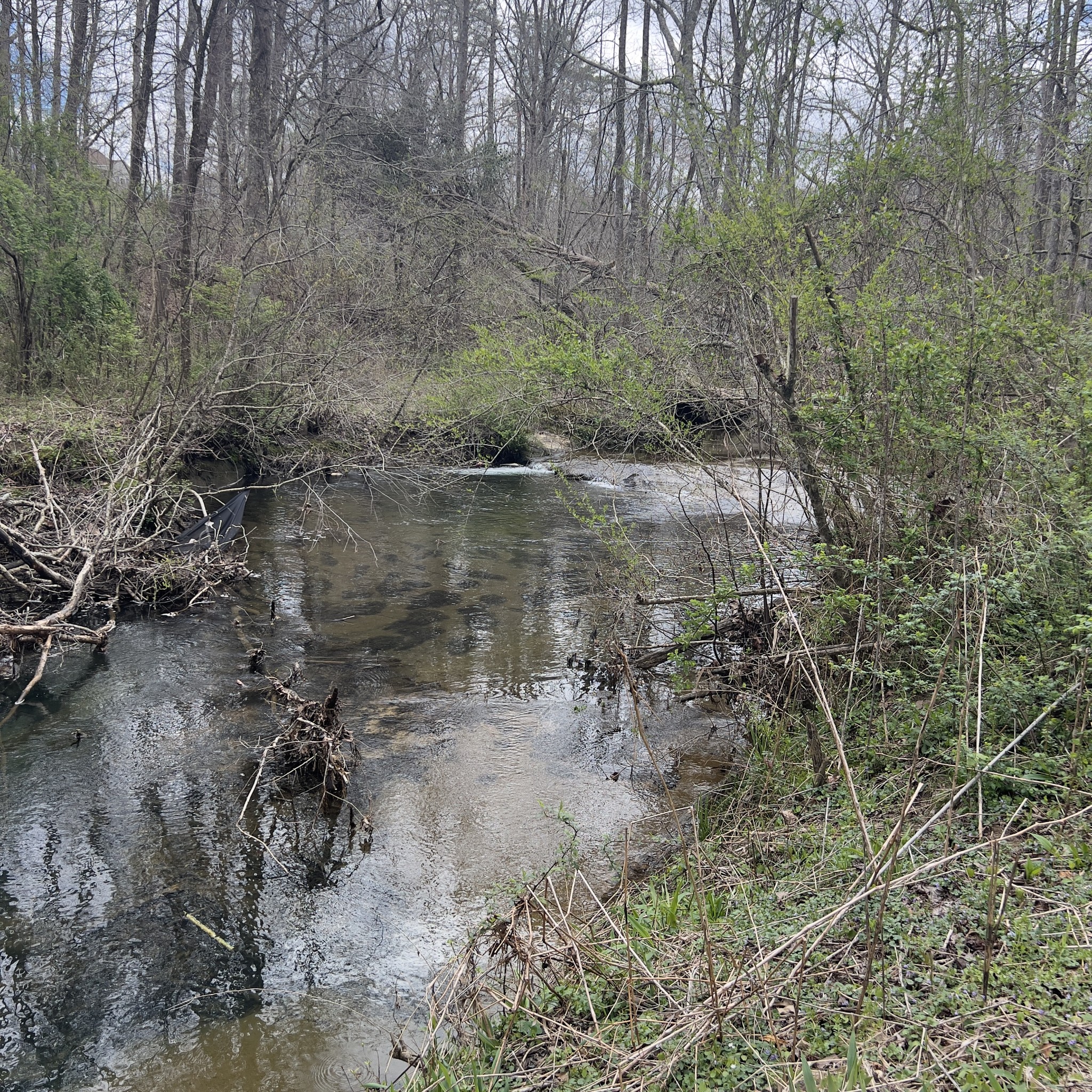 129 Big Mine Road Palmer, TN 37365 - Photo 8 of 17 Gallery Image 8