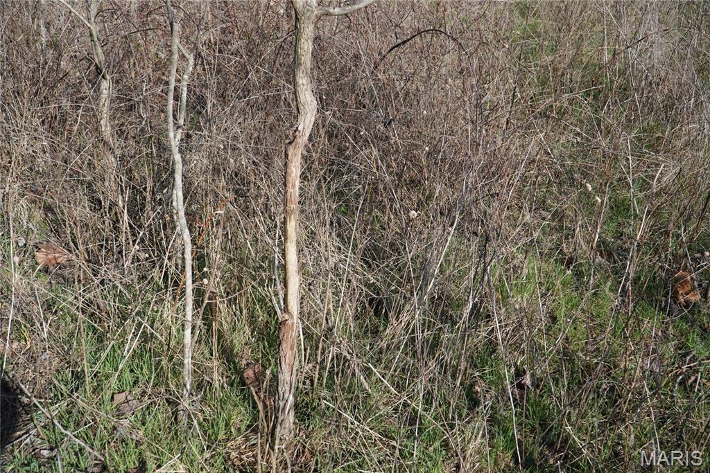 10734 Long Valley Road Huggins, MO 65484 - Photo 11 of 14