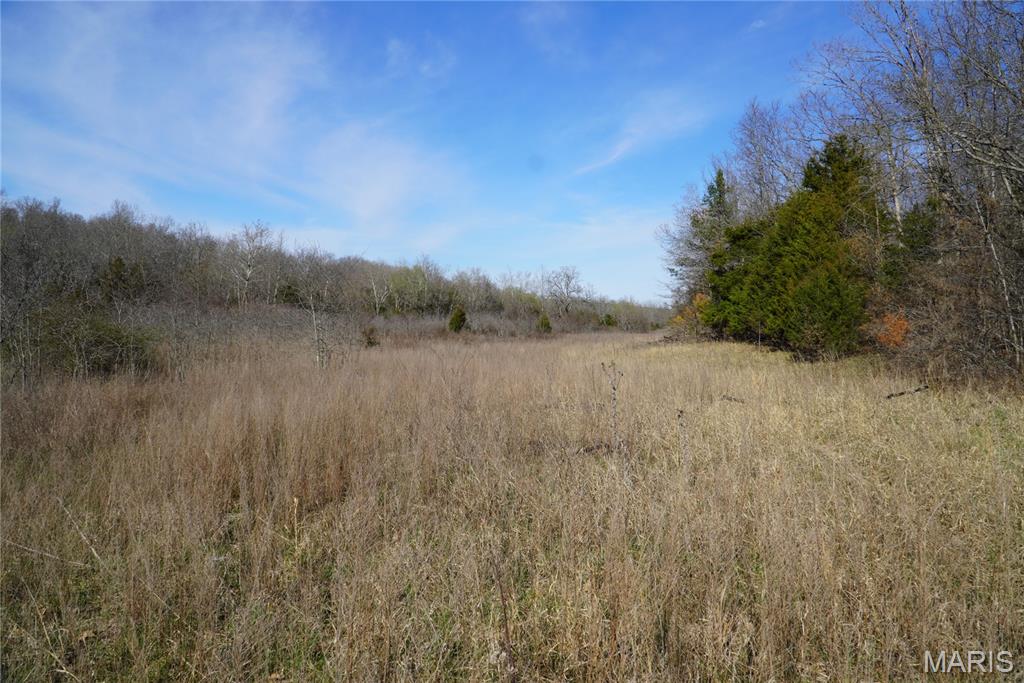 10734 Long Valley Road Huggins, MO 65484 - Photo 2 of 14