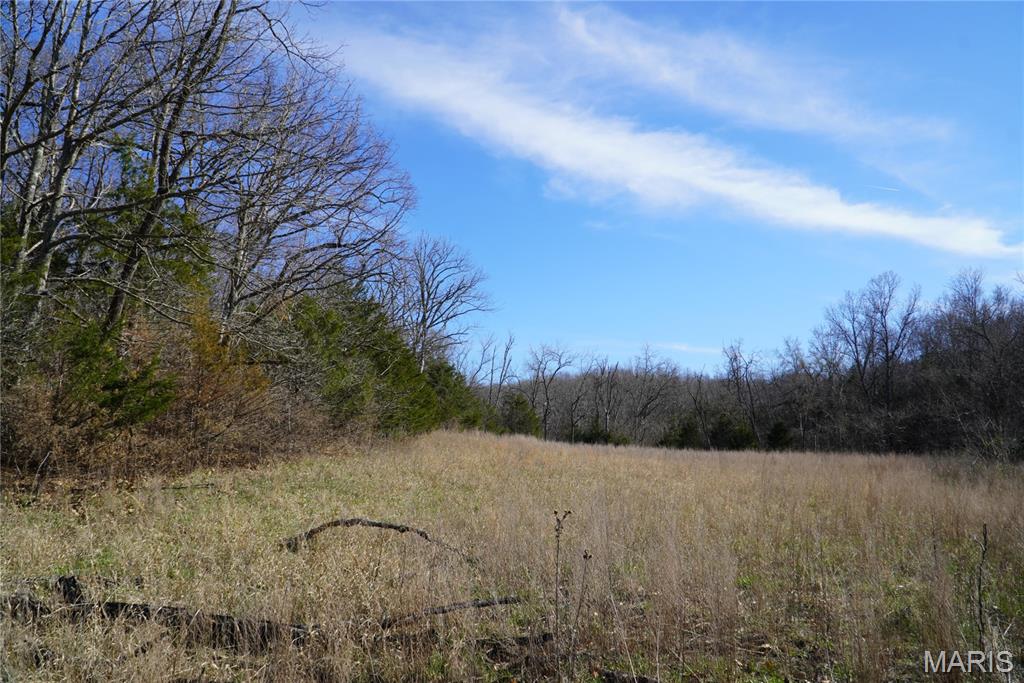 10734 Long Valley Road Huggins, MO 65484 - Photo 3 of 14