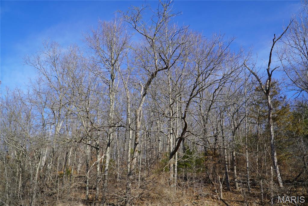 10734 Long Valley Road Huggins, MO 65484 - Photo 4 of 14