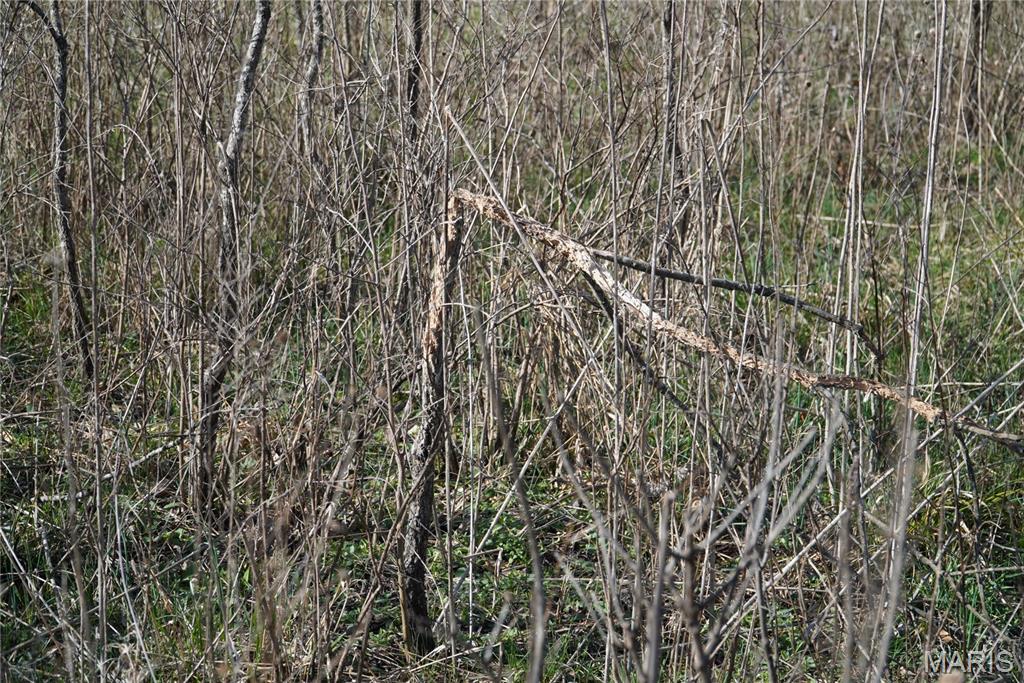 10734 Long Valley Road Huggins, MO 65484 - Photo 5 of 14