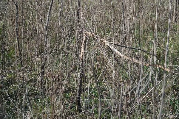 $692,000 | 10734 Long Valley Road, Huggins, MO 65484