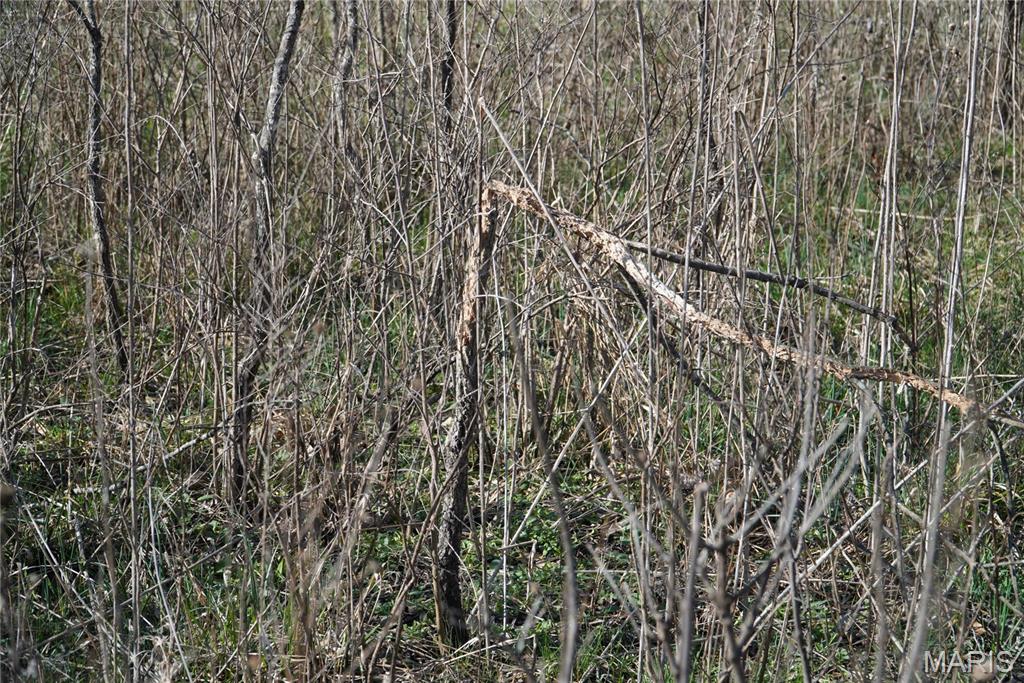 10734 Long Valley Road Huggins, MO 65484 - Photo 6 of 14