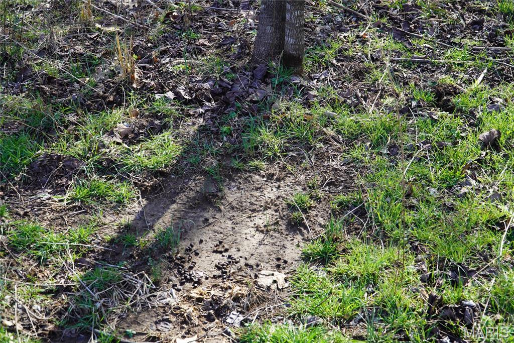 10734 Long Valley Road Huggins, MO 65484 - Photo 7 of 14