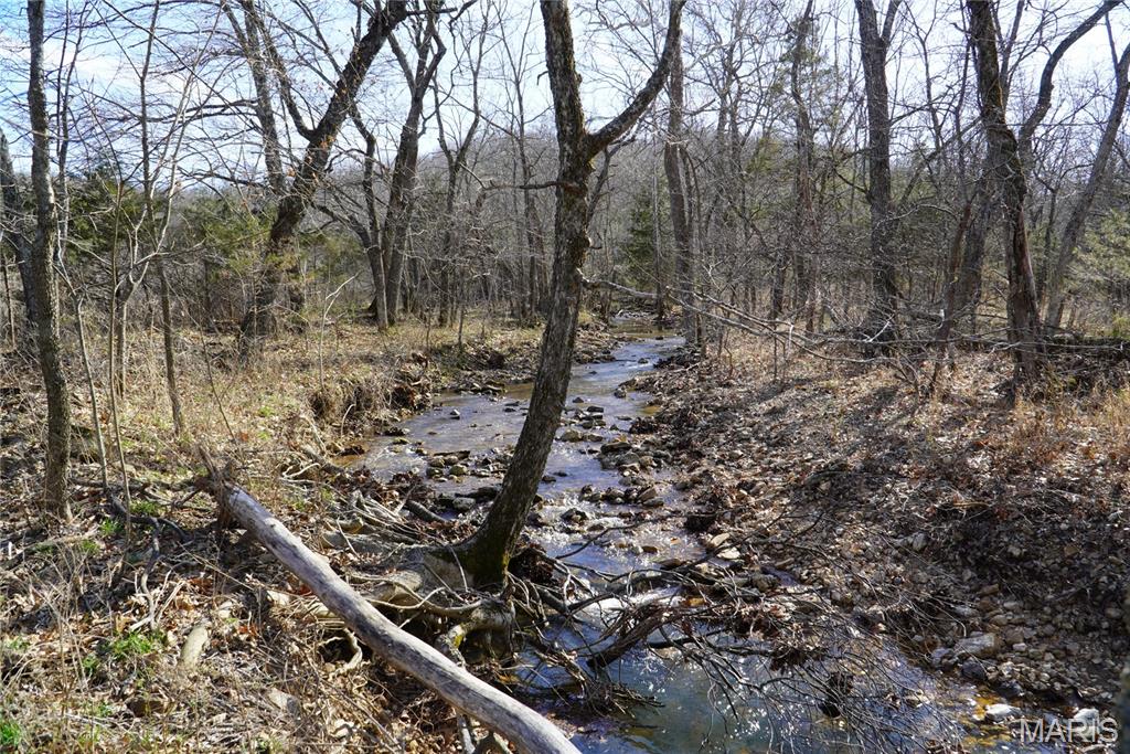 10734 Long Valley Road Huggins, MO 65484 - Photo 8 of 14