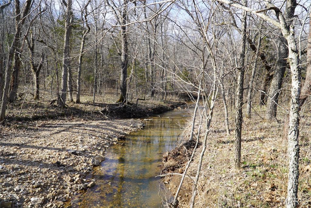 10734 Long Valley Road Huggins, MO 65484 - Photo 10 of 14