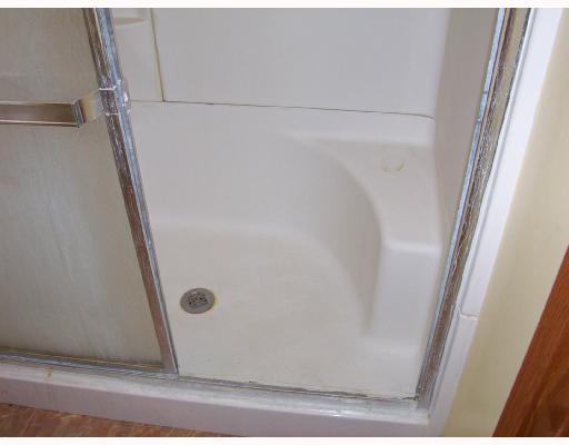 1226 Courtright Street Pittsburgh, PA 15212 - Photo 8 of 18 Master Bath/Spa.