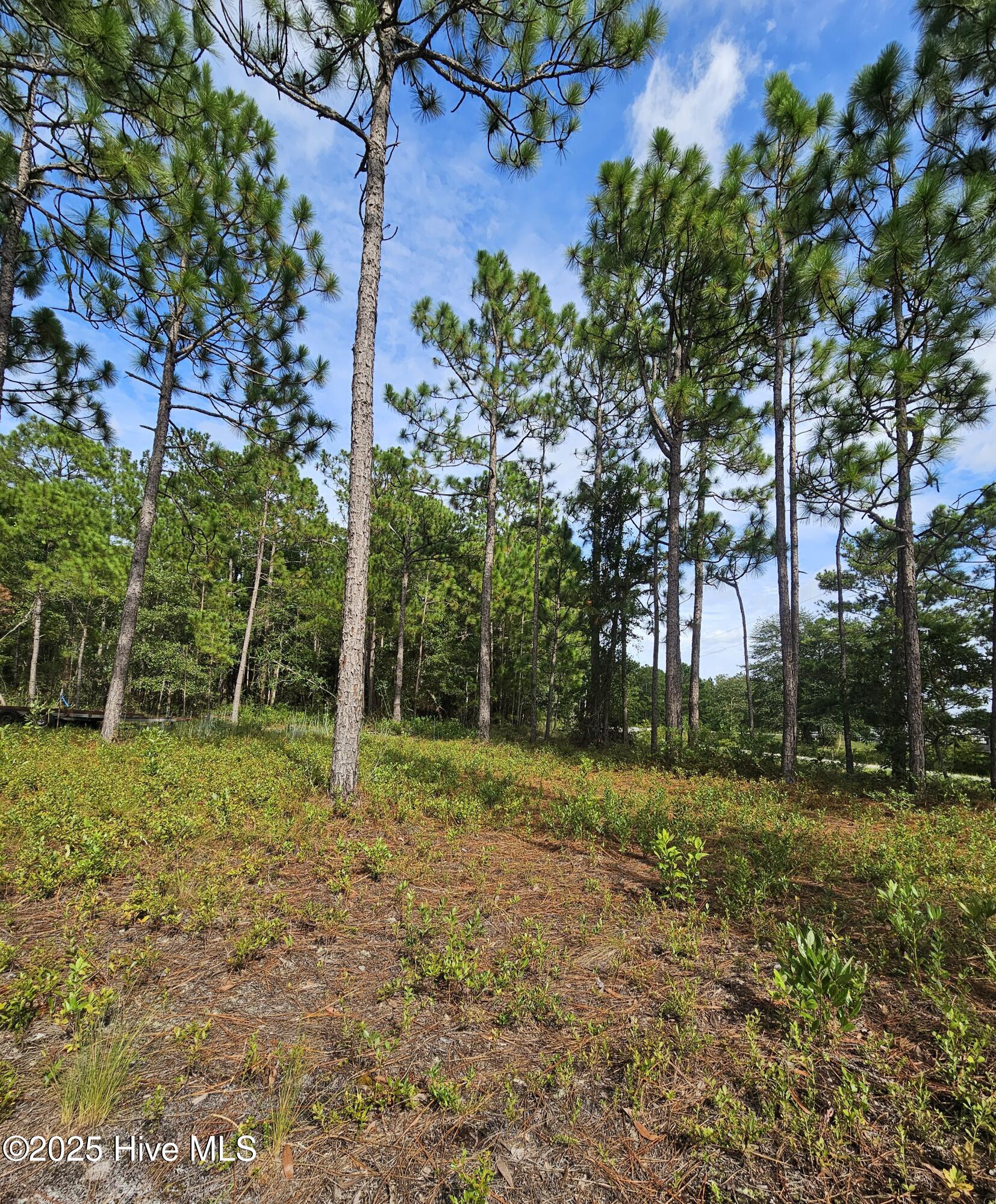 0 Hines Stump Sound Church Road Holly Ridge, NC 28445 - Photo 2 of 6 Side
