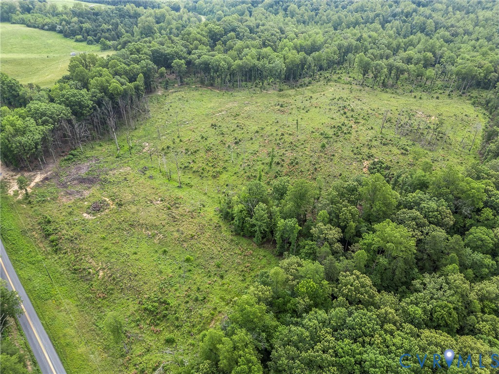 0 Carysbrook Road Palmyra, VA 22963 - Photo 8 of 19