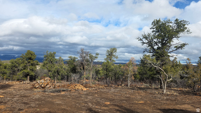 95 Wray Mesa Road, Unit 10 La Sal, UT 84530 - Photo 5 of 14 Home site