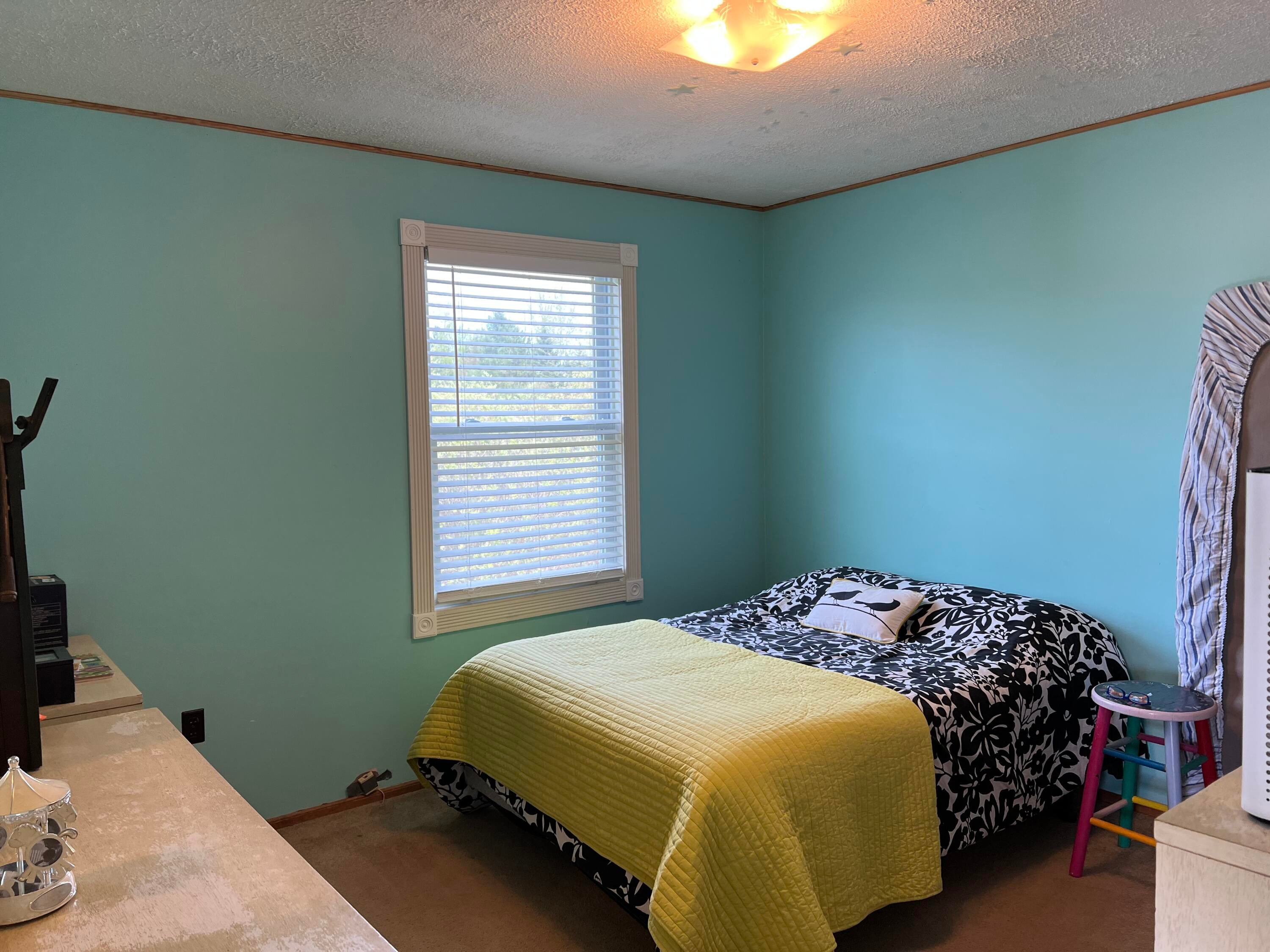 7151 Trudeau Road Cheboygan, MI 49721 - Photo 21 of 36 Gallery Image 21