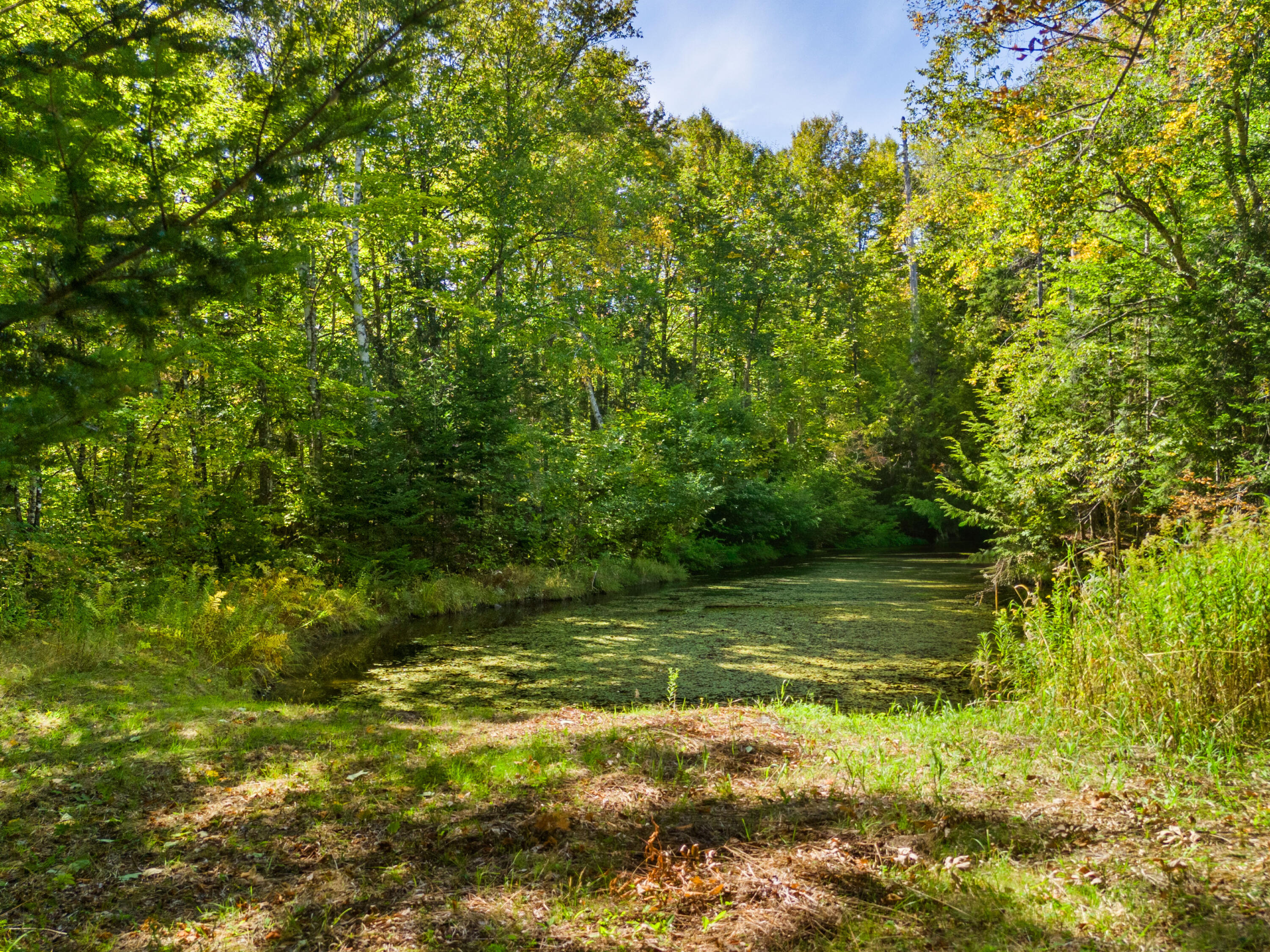 23 Clement Road Parkman, ME 04443 - Photo 43 of 50 Pond