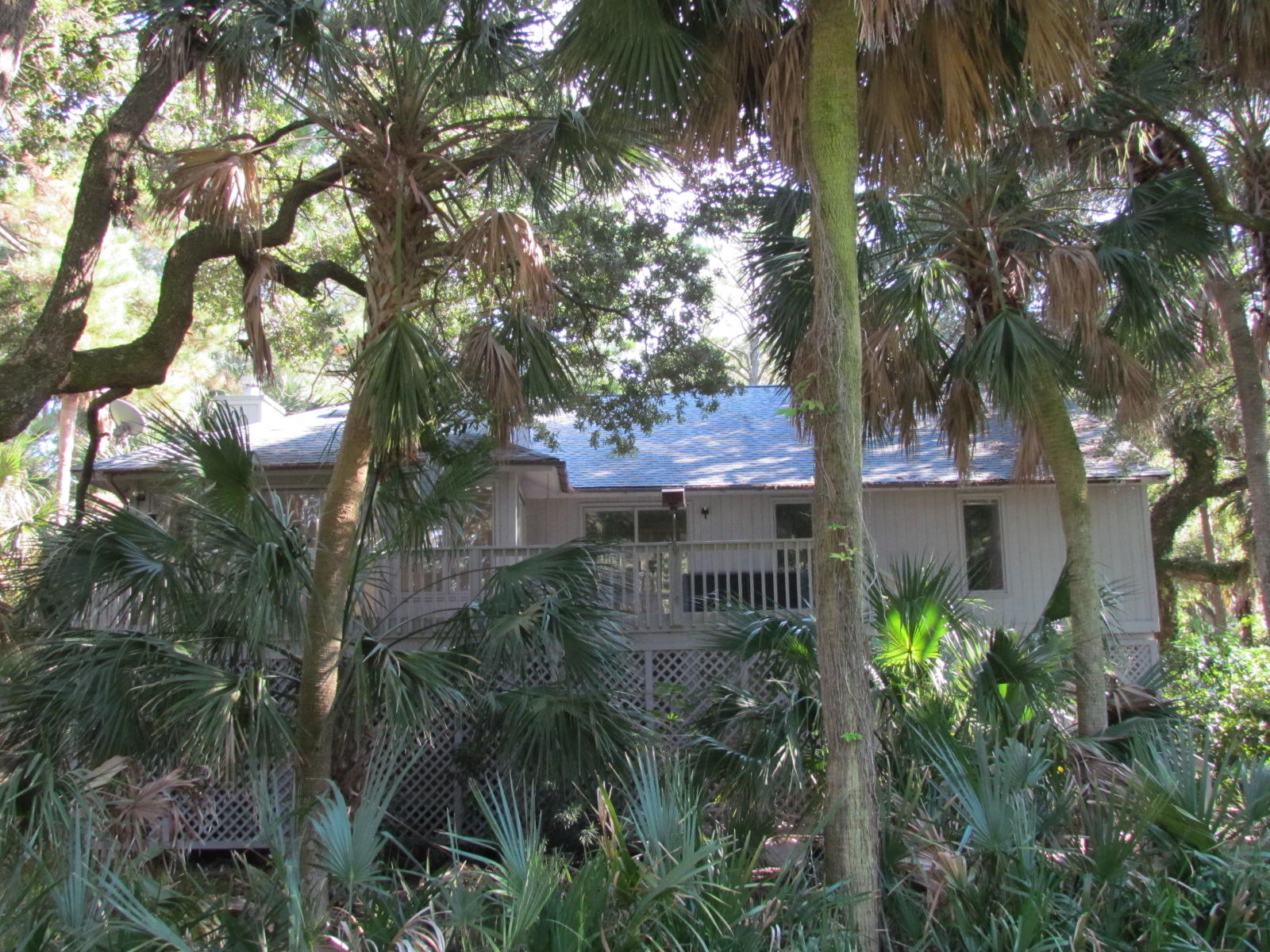 13 Gun Bluff Road Edisto Beach, SC 29438 - Photo 17 of 17 IMG_1371