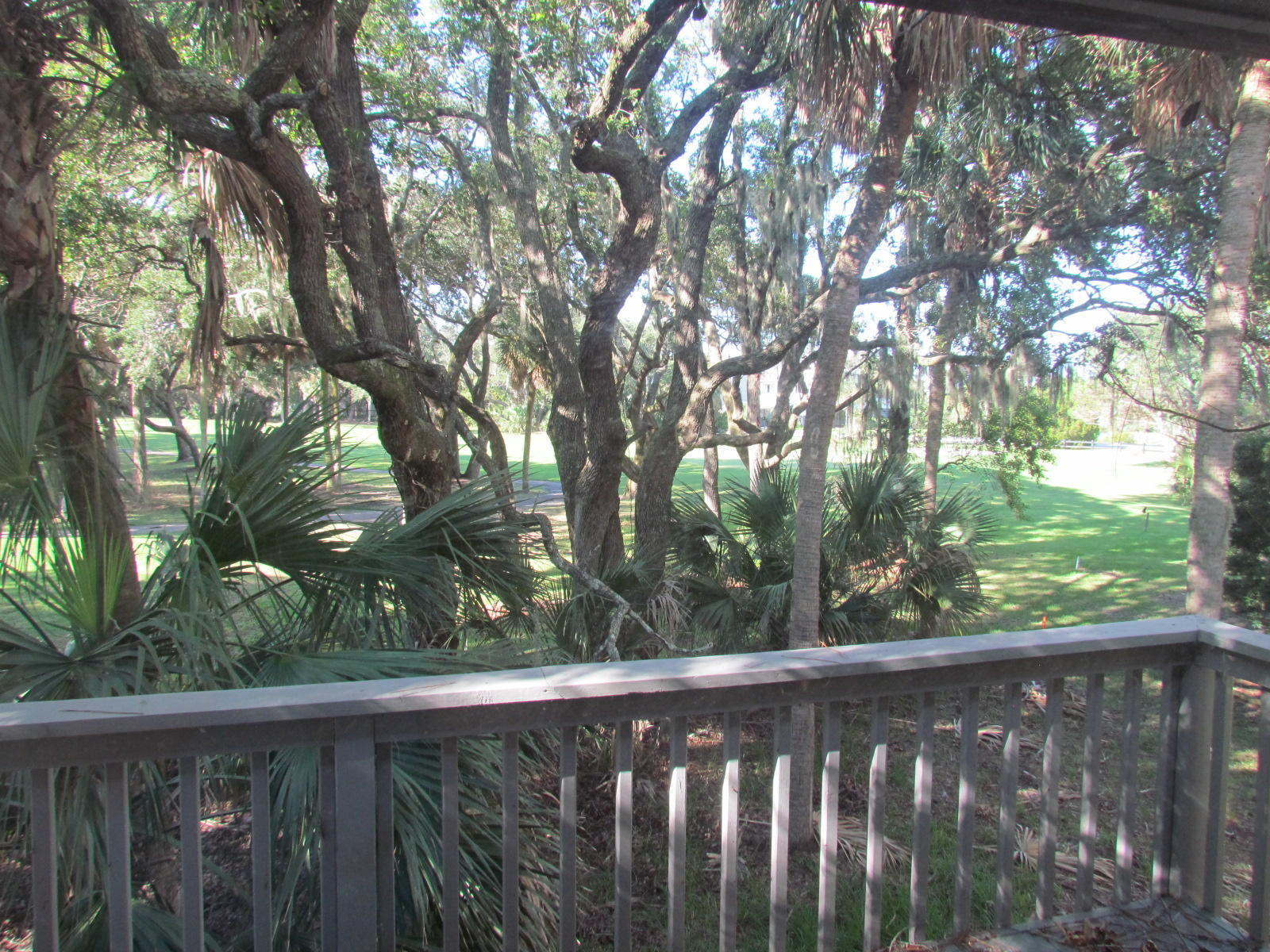 13 Gun Bluff Road Edisto Beach, SC 29438 - Photo 8 of 17 IMG_1358