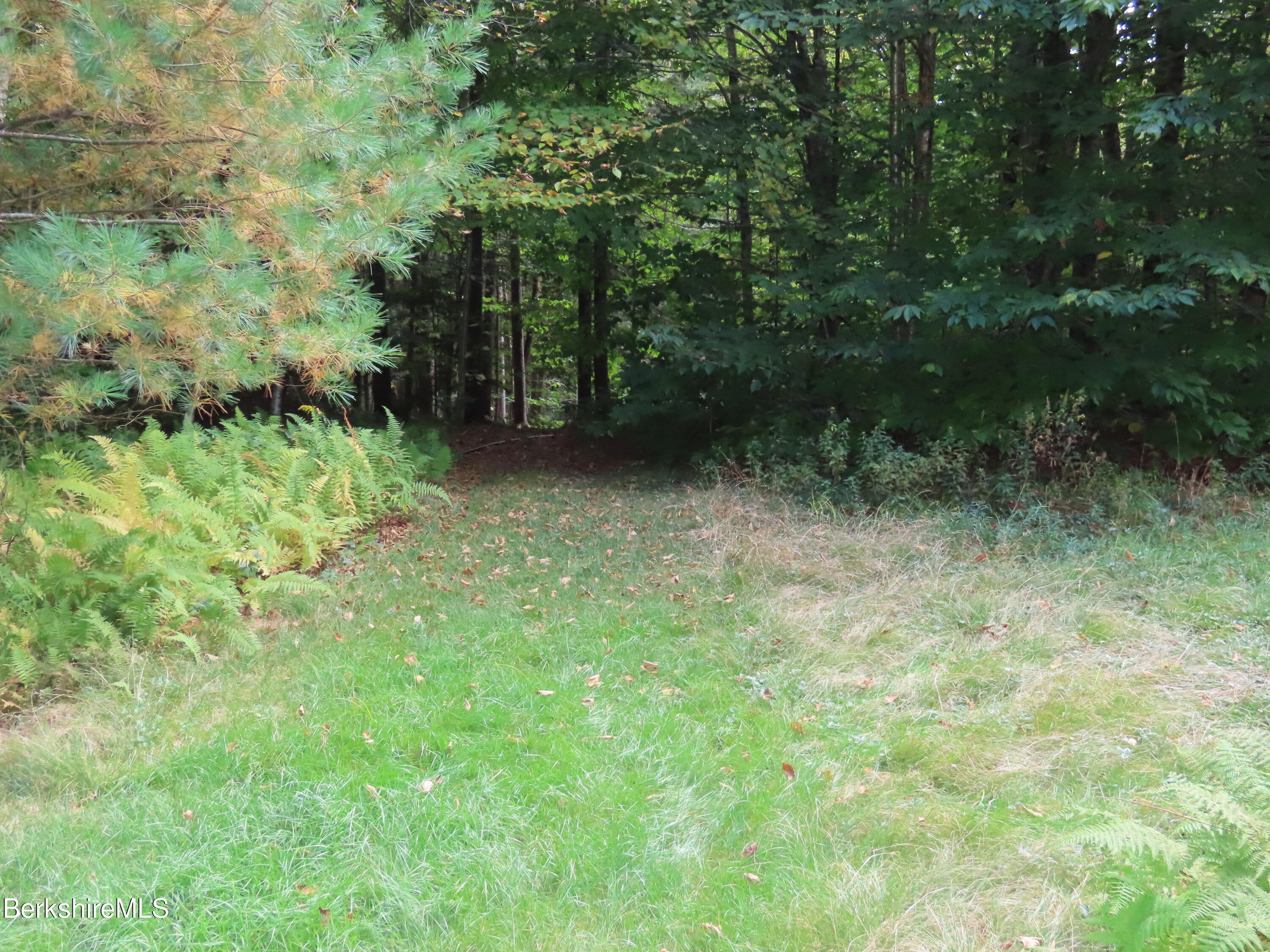 250 Magee Road Stamford, VT 05352 - Photo 25 of 35 a view of outdoor space and trees