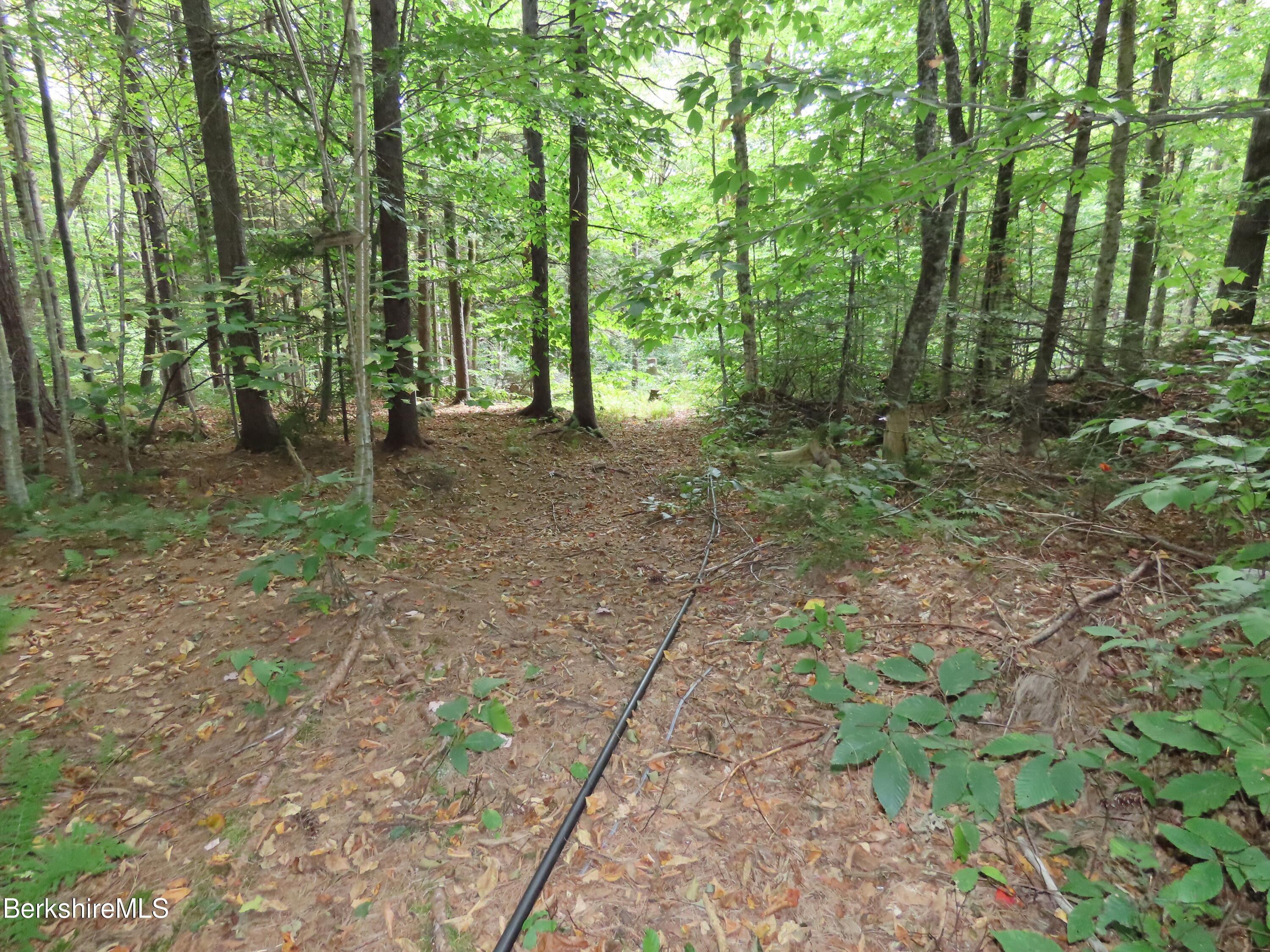 250 Magee Road Stamford, VT 05352 - Photo 27 of 35 a view of outdoor space and tree