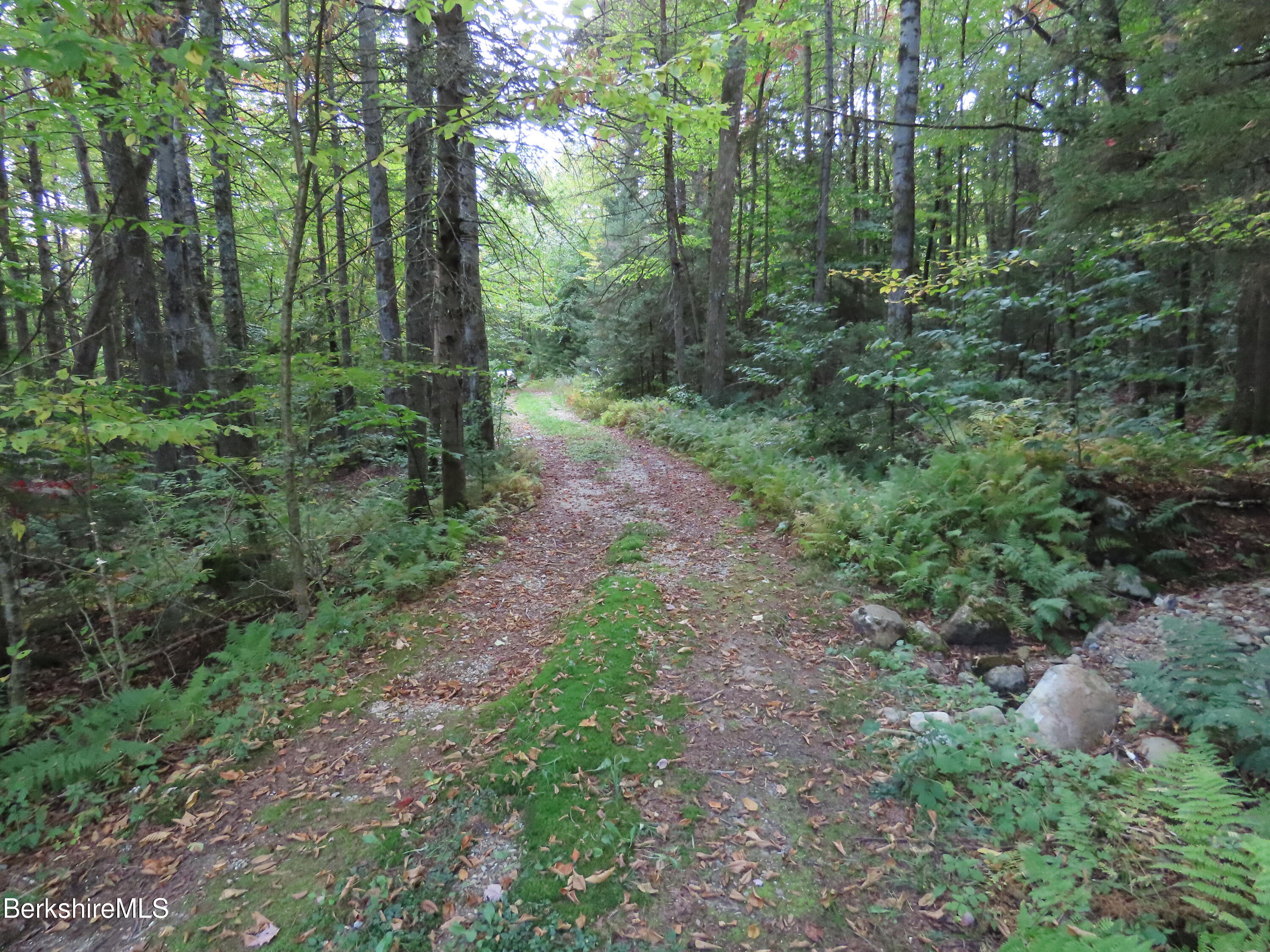 250 Magee Road Stamford, VT 05352 - Photo 3 of 35 a view of a forest with trees