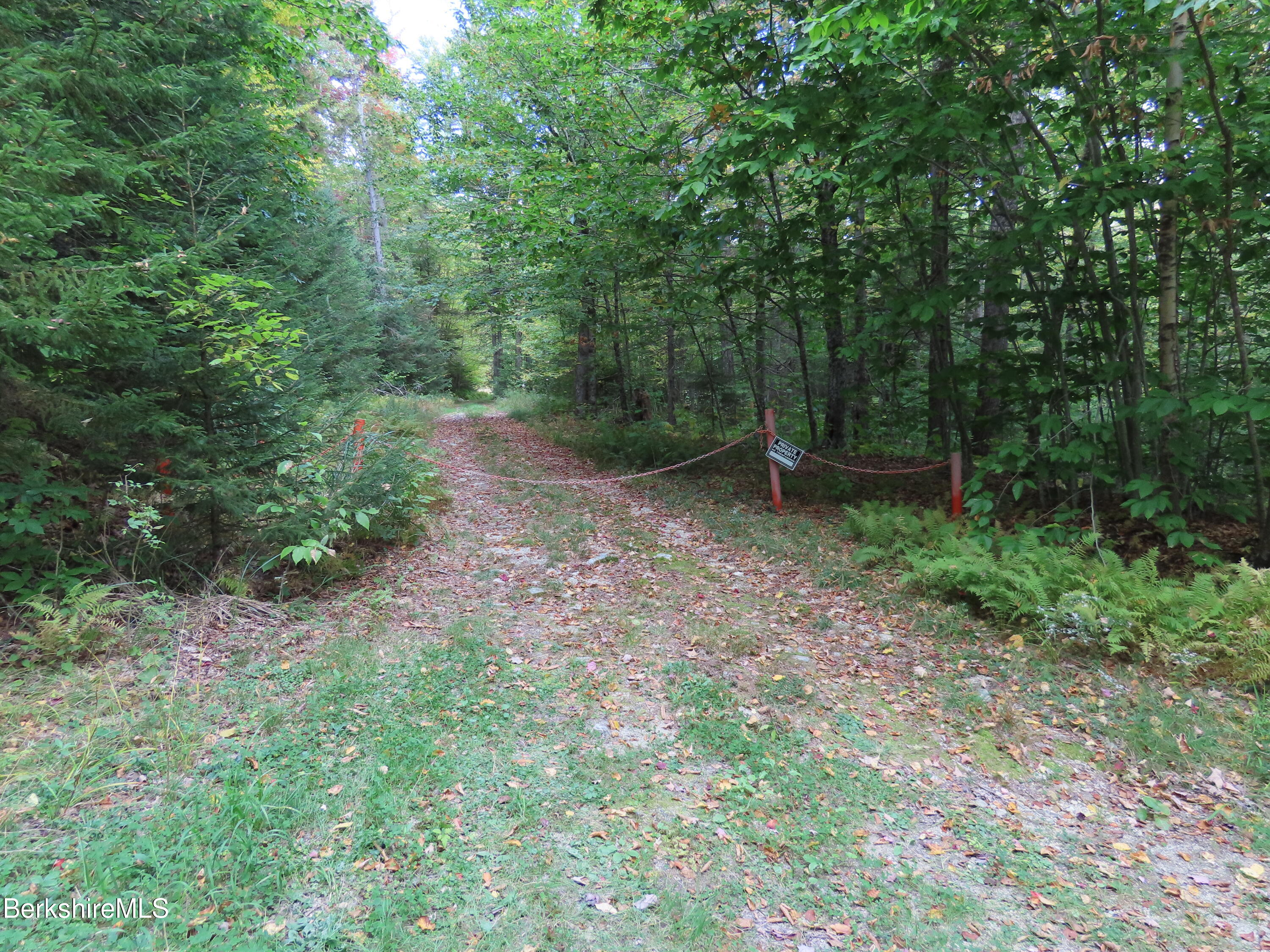250 Magee Road Stamford, VT 05352 - Photo 32 of 35 a big yard with lots of green space and deers