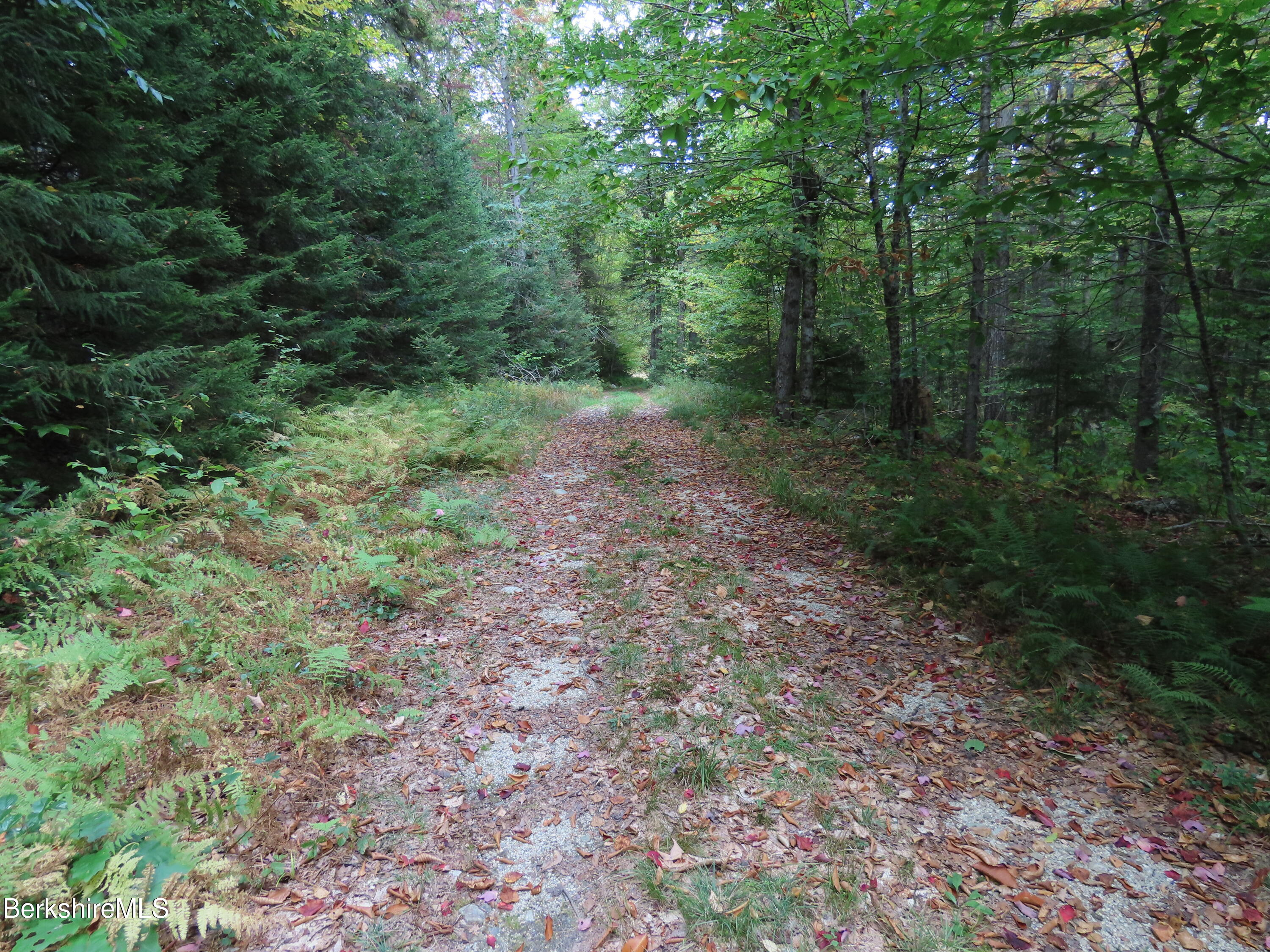 250 Magee Road Stamford, VT 05352 - Photo 33 of 35 a view of a forest with trees in the background