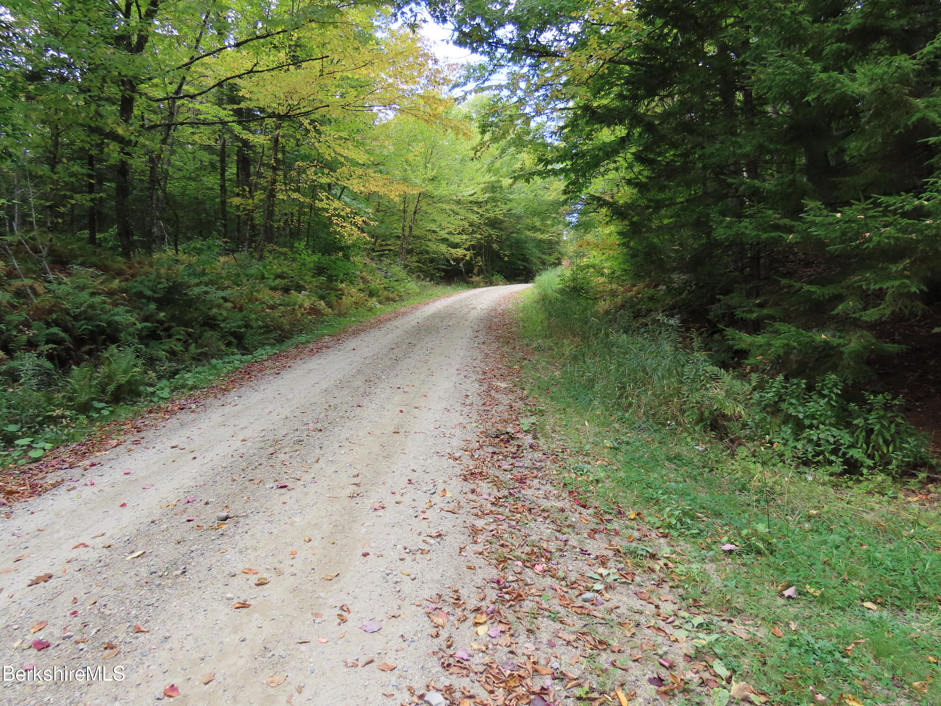 250 Magee Road Stamford, VT 05352 - Photo 35 of 35 a view of a road with a yard