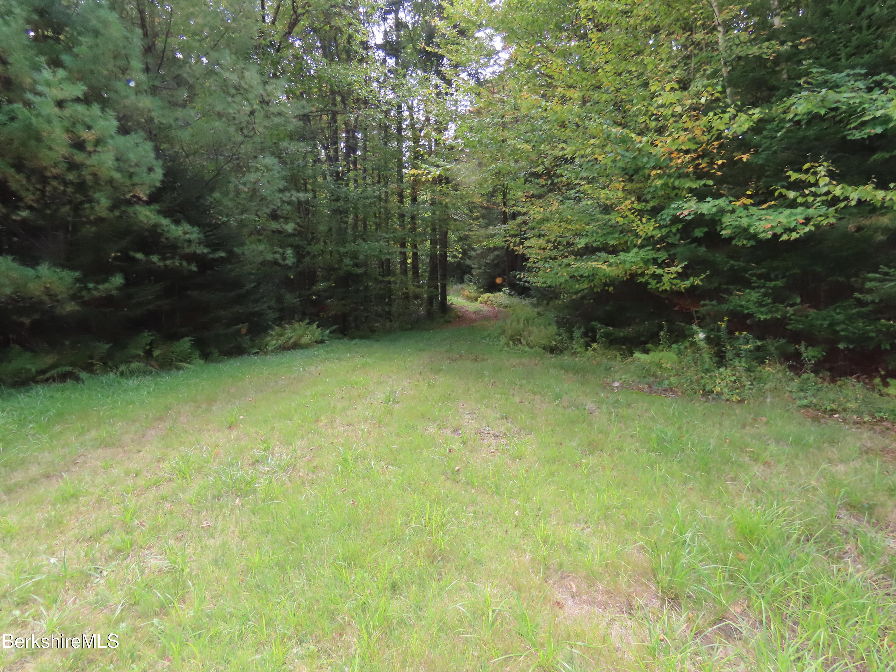 250 Magee Road Stamford, VT 05352 - Photo 6 of 35 a view of a back yard