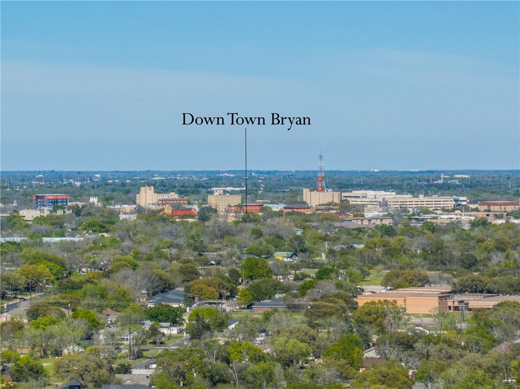 943 Harper Lane Bryan, TX 77803 - Photo 29 of 35